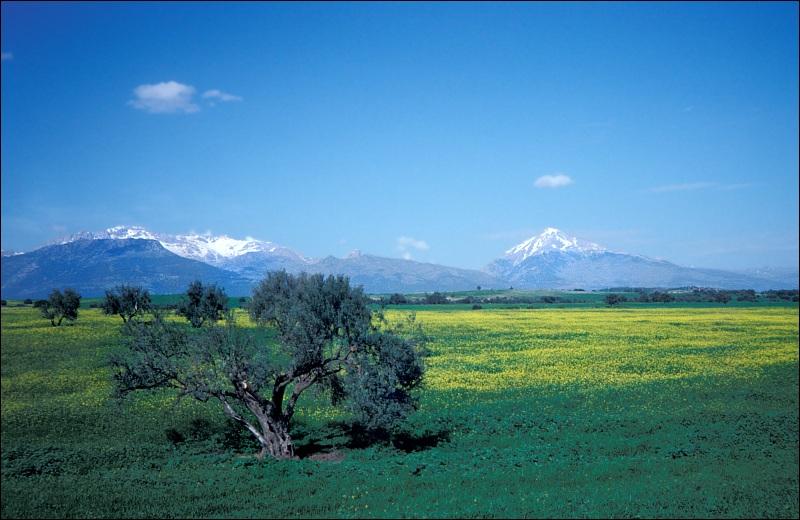 Foto: Al��rsko-Djurdjura Mountains