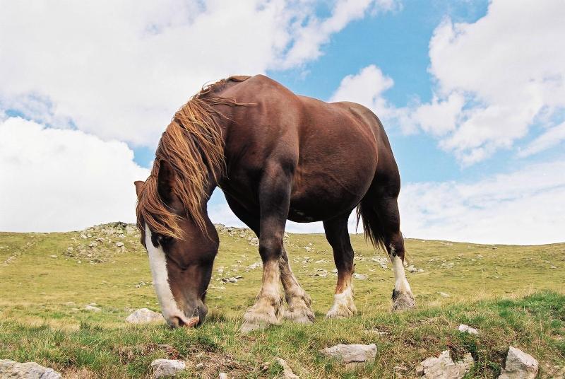 Foto: Andorra
