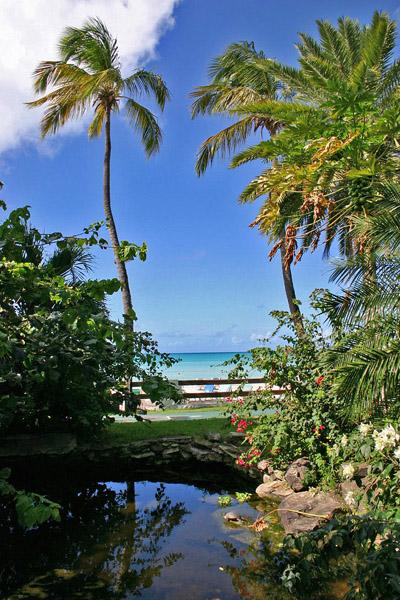 Foto: Antigua a Barbuda-Saint John