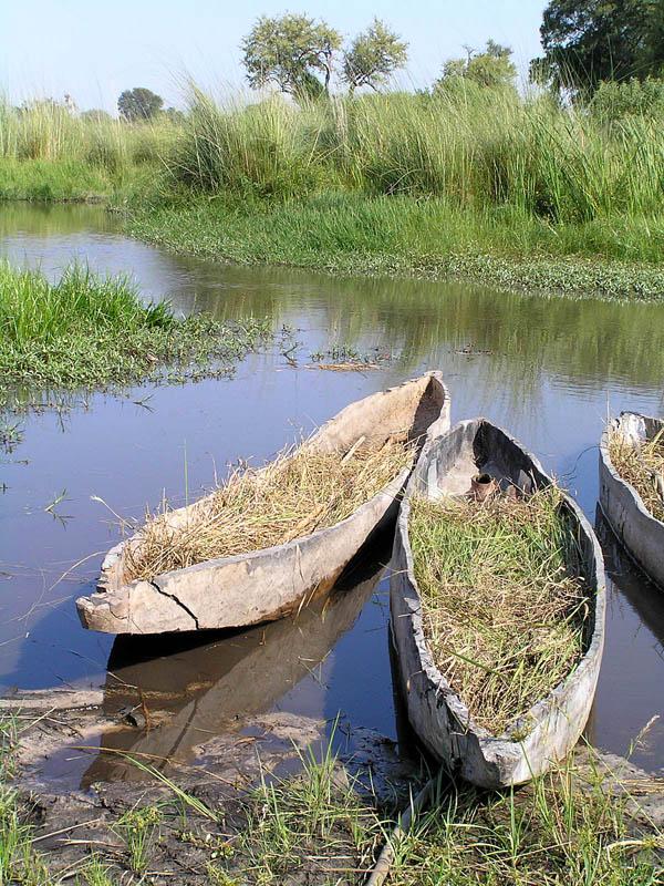 Foto: Botswana-Maun