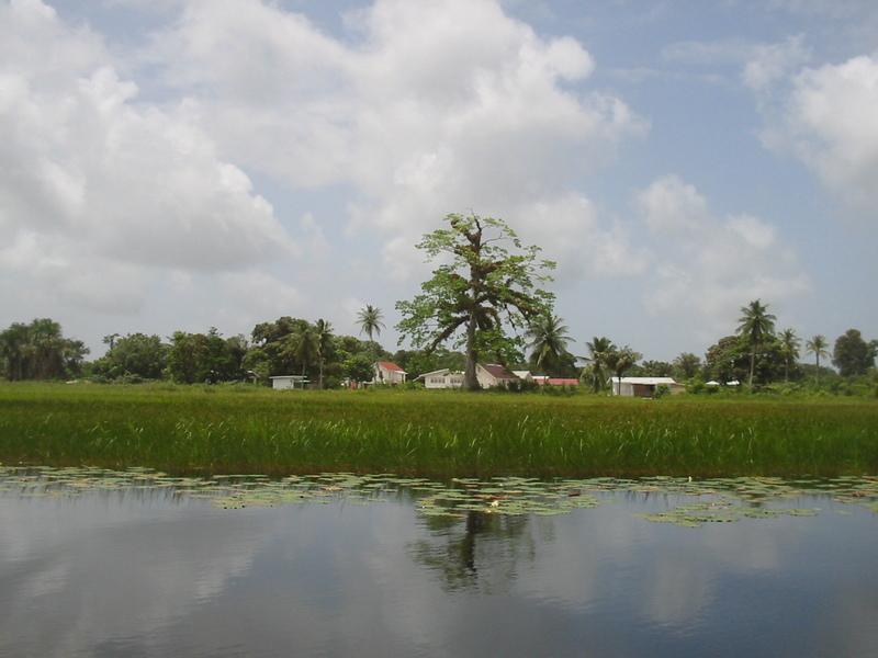 Foto: Guyana