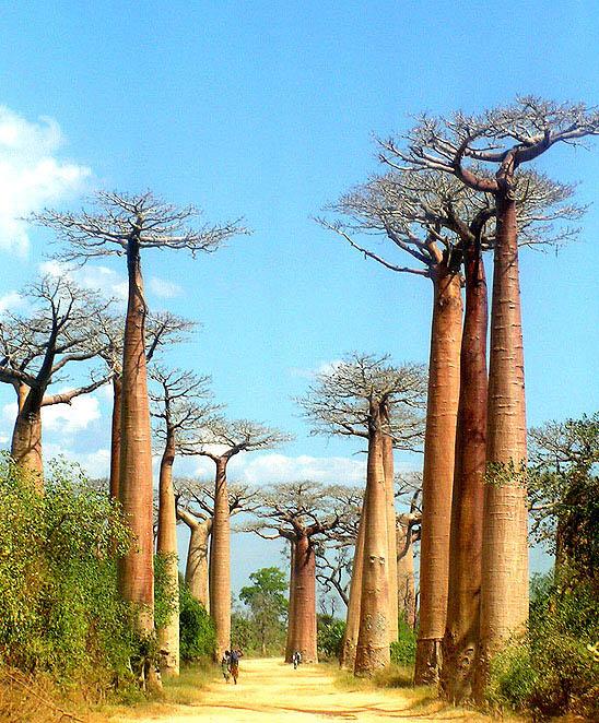 Foto: Madagaskar-Toliara