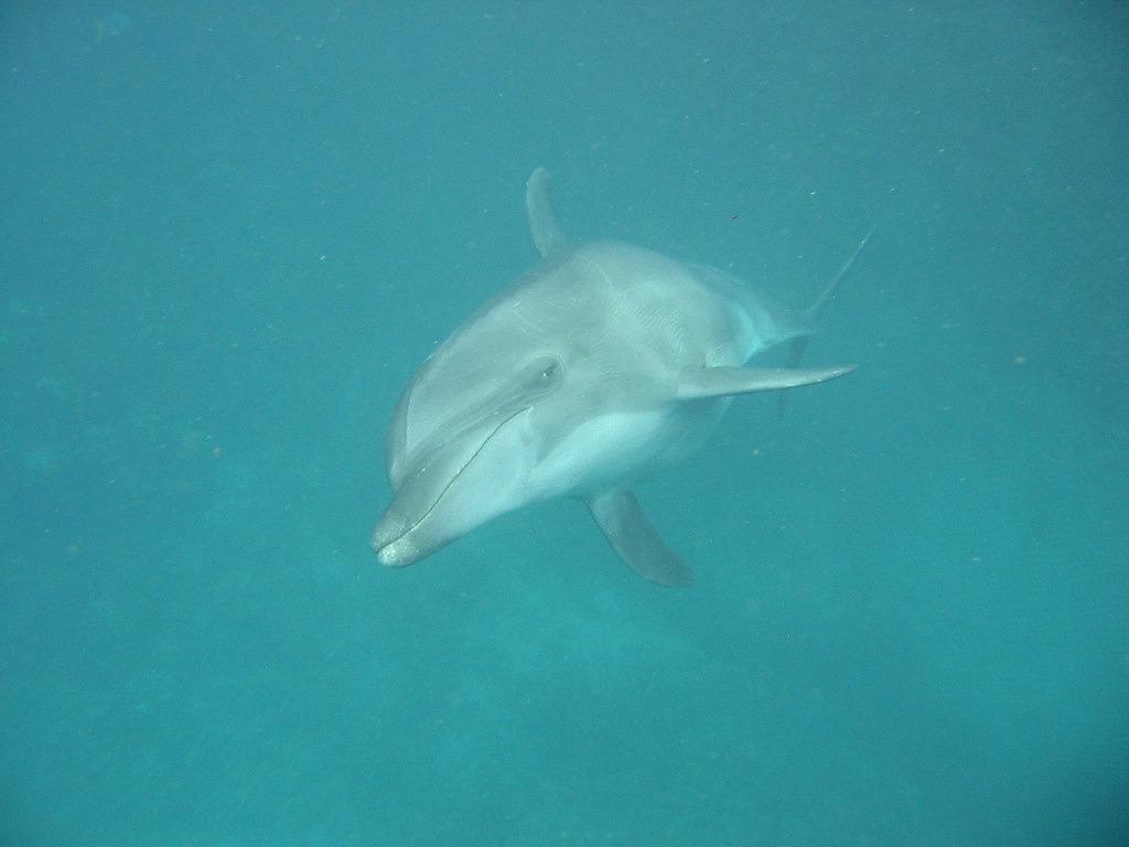 Foto: Palau