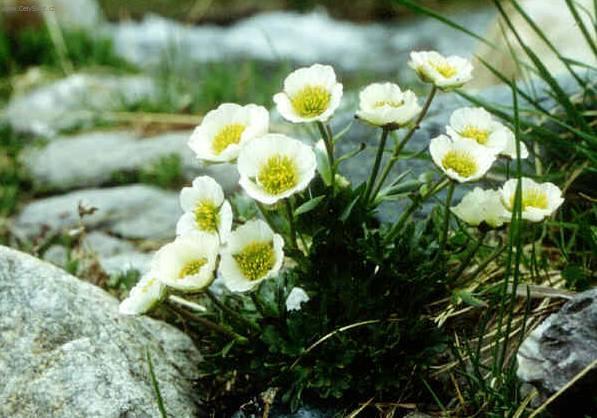 Foto: Prysky�n�k