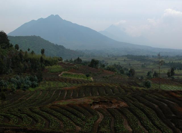 Foto: Rwanda-Ruhengeri