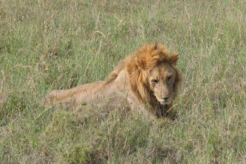 Foto: Tanzanie