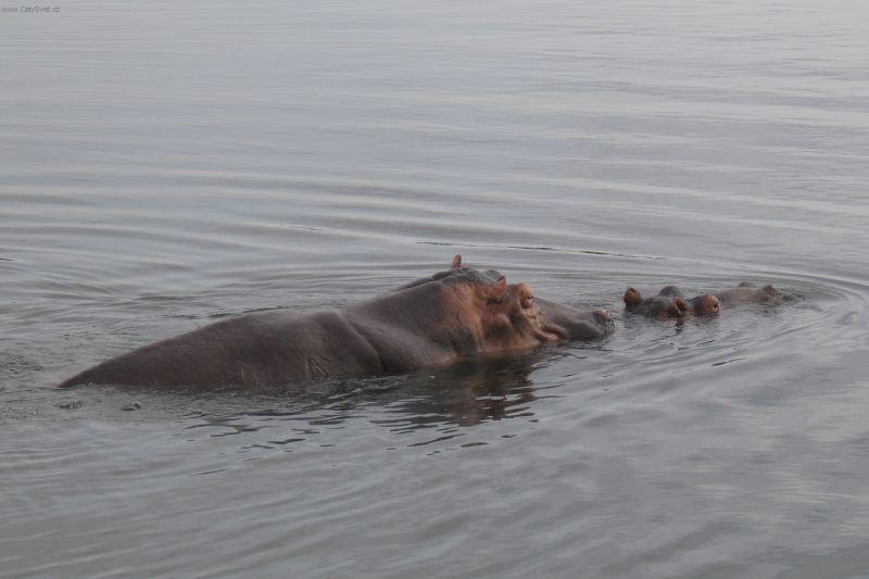 Foto: Uganda