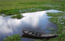 Banglad�