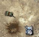 Hry on-line:  > Crusader tank (bojov� free flash hra on-line)