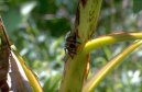 Ekv�dor (cestopis)