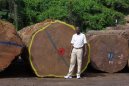 Gabon � Gabun