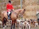 :  > Honi�i (Hounds)