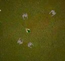 Hry on-line:  > Monster Invade (Napaden� monstr�)