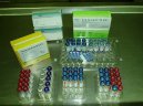 :  > Pro� o�kovat psy a proti �emu (Parvovir�za, koronavir�za, psinka, Infek�n� hepatitida, vzteklina aj.)