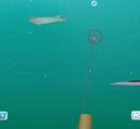 Hry on-line:  > Shooting fish (sportovn� free flash hra on-line)