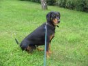Slovensk� kopov