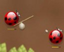 Hry on-line:  > Spider bugs (vtipn� free flash hra on-line)