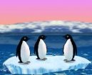 Hry on-line:  > Turbo Penguins (vtipn� free hra on-line)