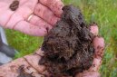 :  > Zemina a p�dn� sm�si (Soil)
