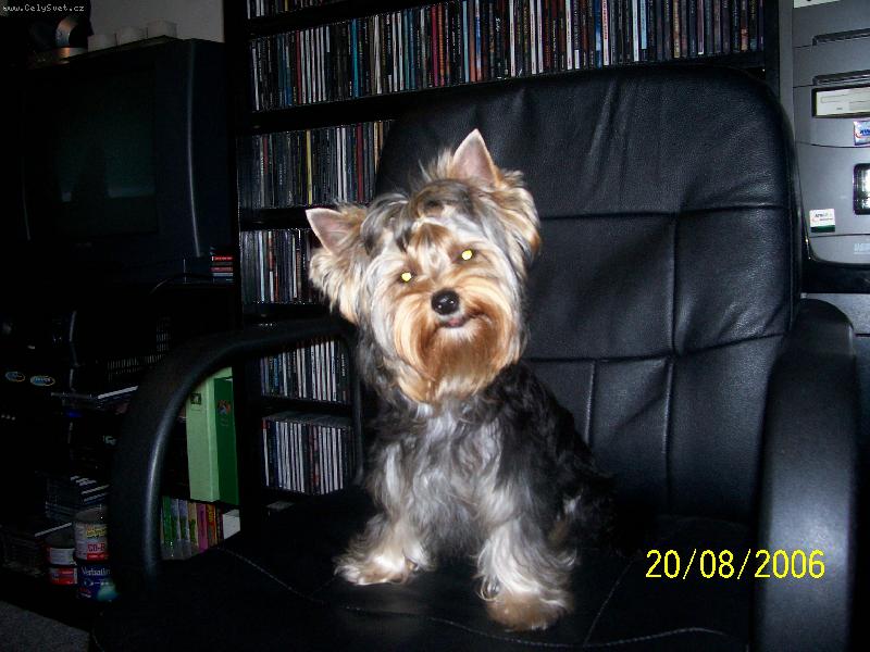 Foto: Bessy
