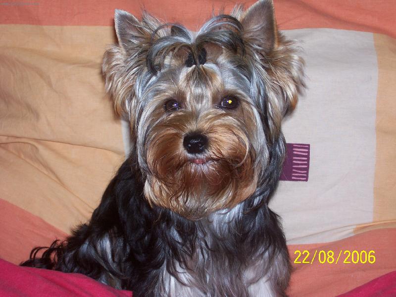 Foto: Bessy