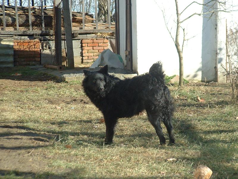 Foto: Tisa2