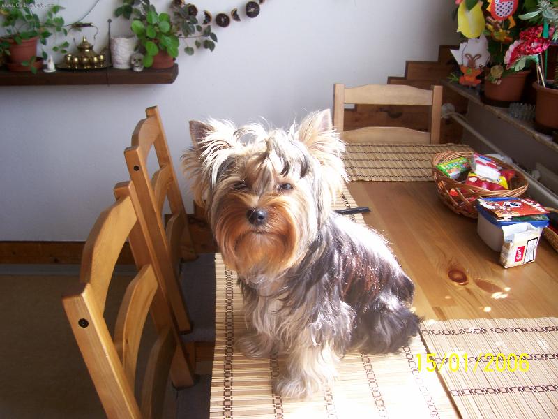 Foto: Bessy