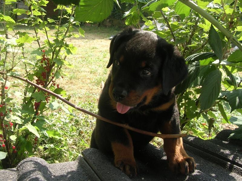 Foto: Max