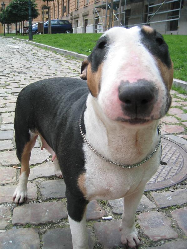 Foto: Juxa