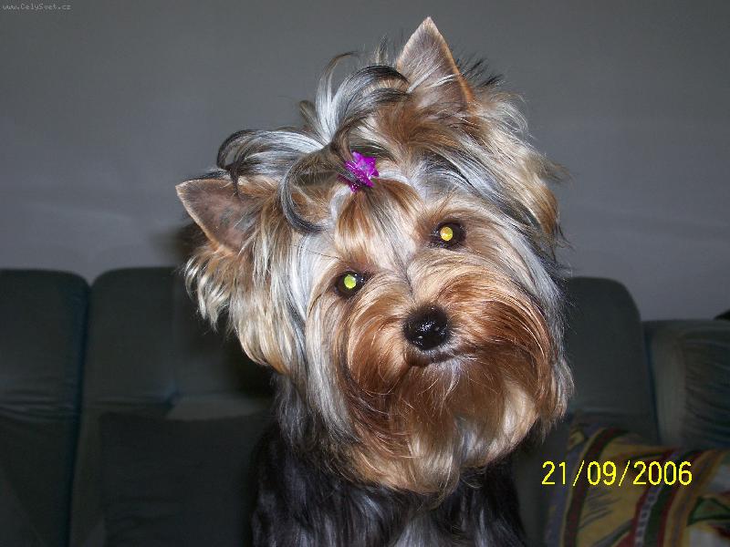 Foto: Bessy