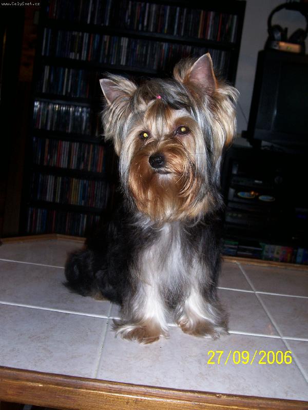 Foto: Bessy