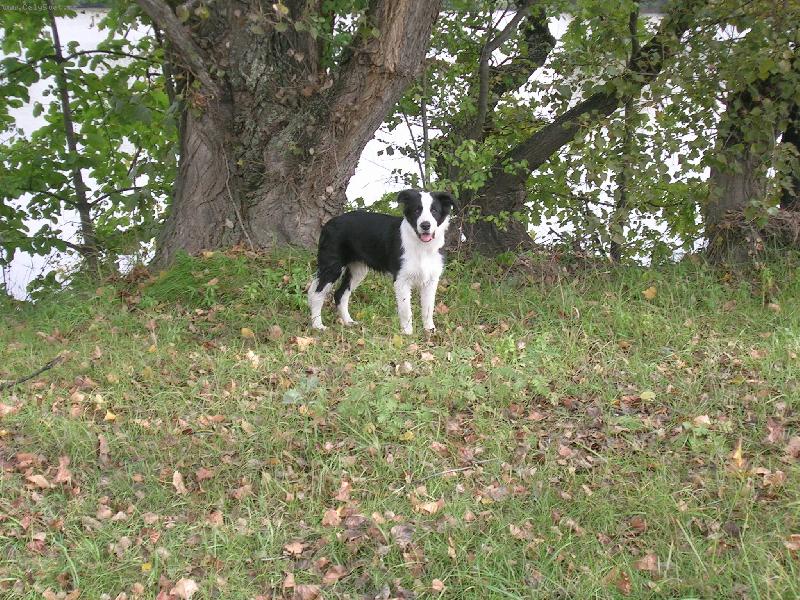 Foto: Calypso