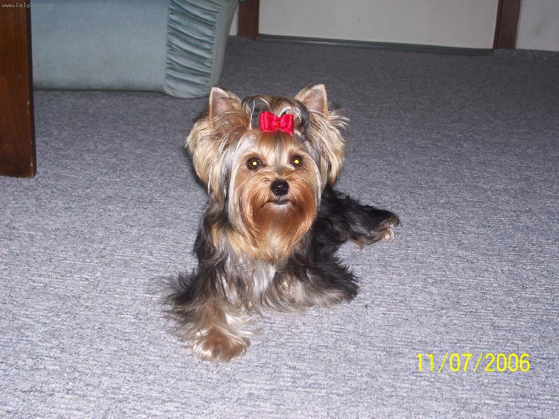 Foto: Bessy