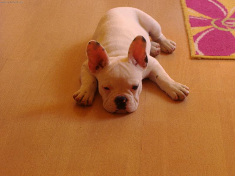 Foto: Mike-Mike