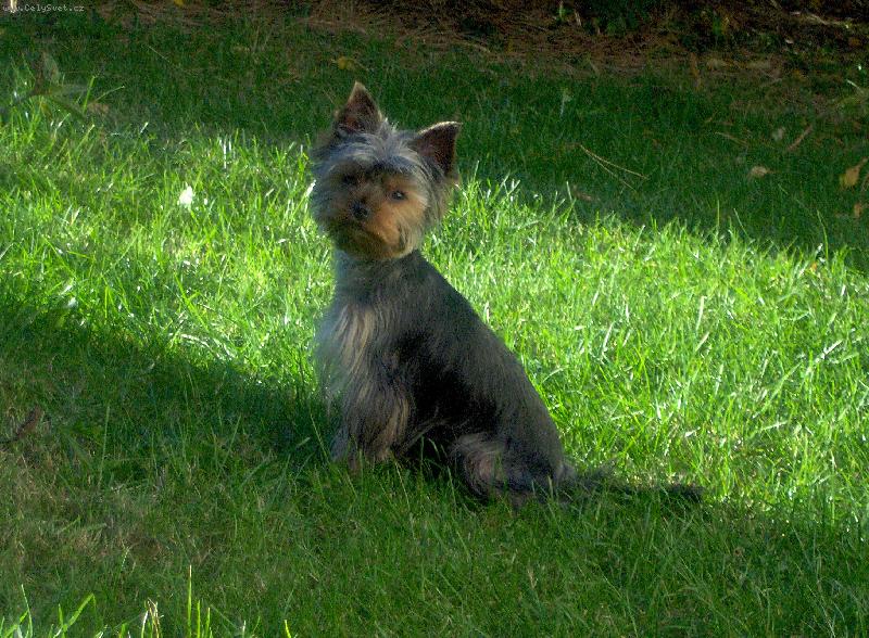 Foto: Charlie