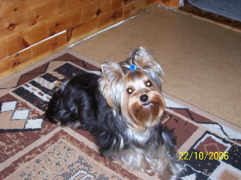Foto: Bessy