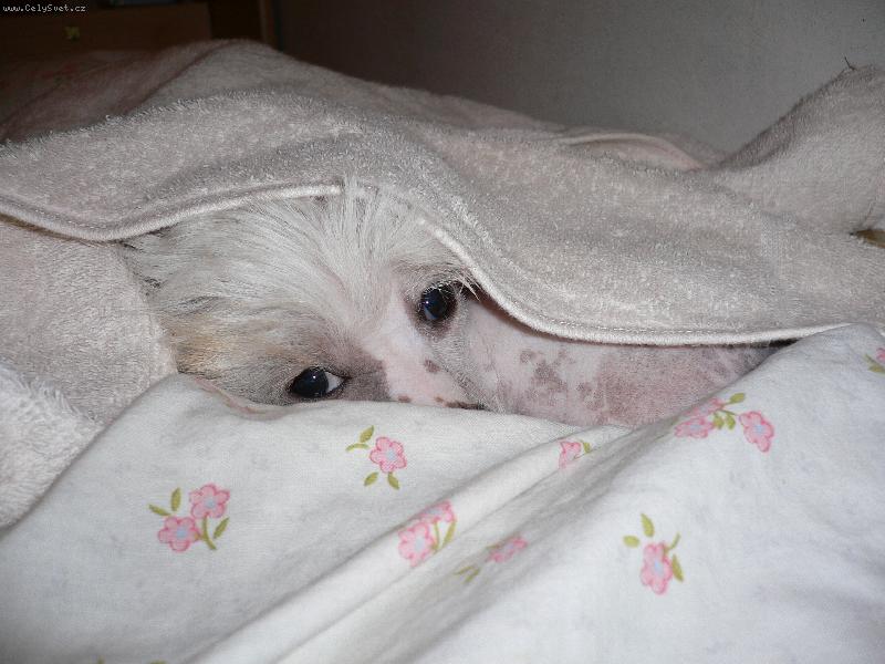 Foto: Spink�m