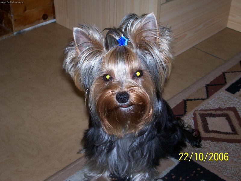 Foto: Bessy