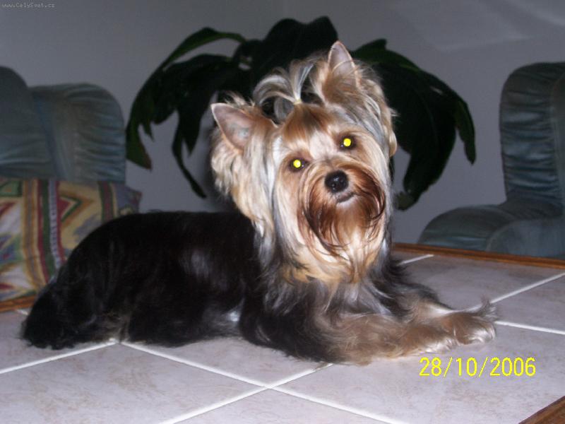 Foto: Bessy