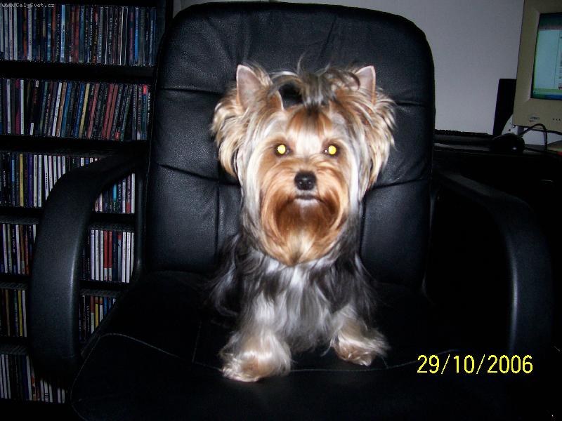 Foto: Bessy