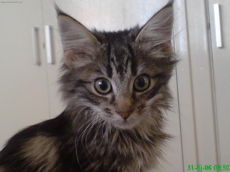 Foto: Oliver