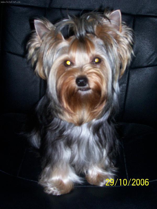 Foto: Bessy