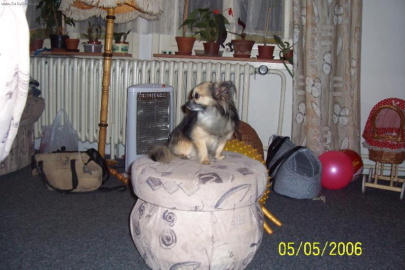 Foto: Dan