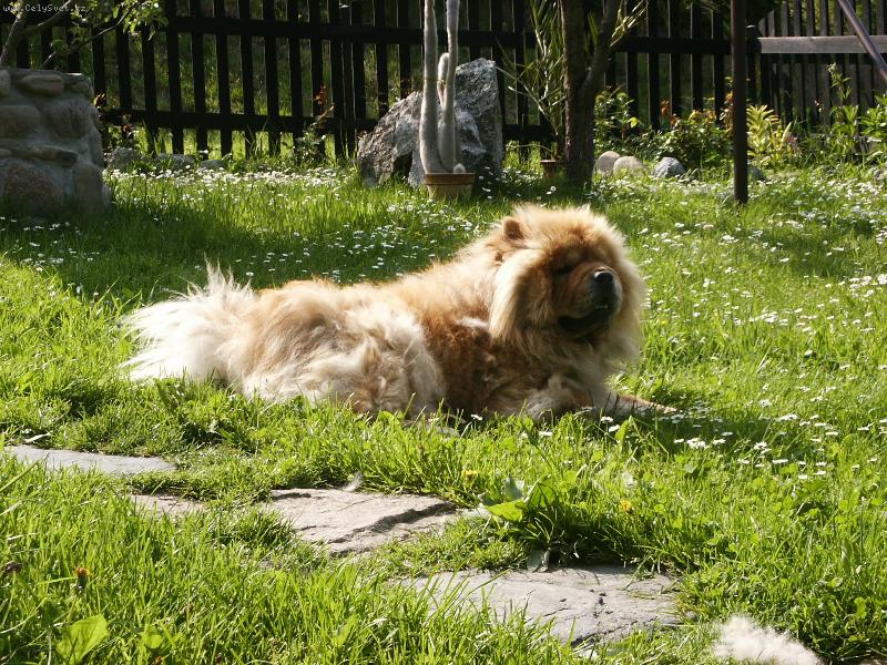 Foto: Denis