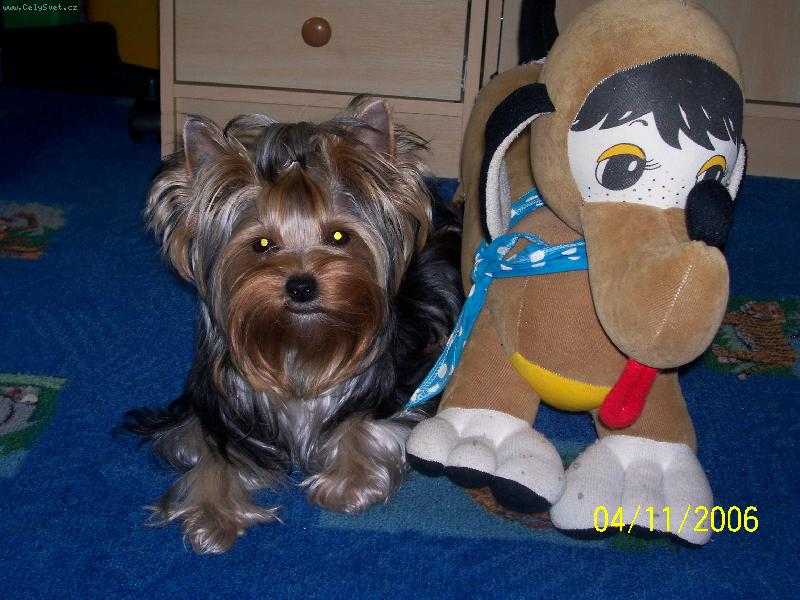 Foto: Bessy
