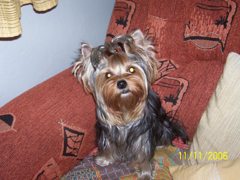 Foto: Bessy