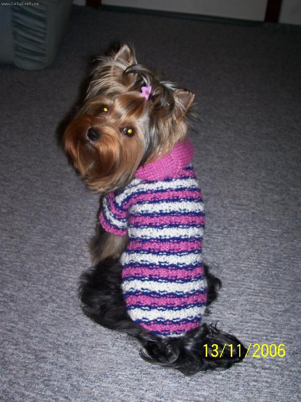 Foto: Bessy