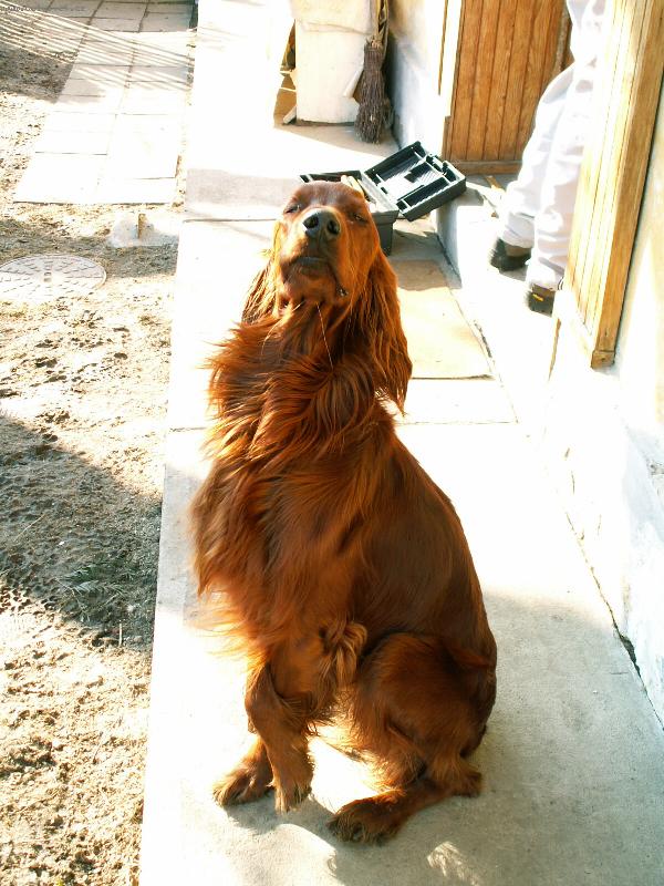 Foto: Artur