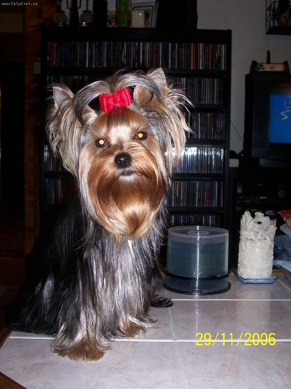 Foto: Bessy