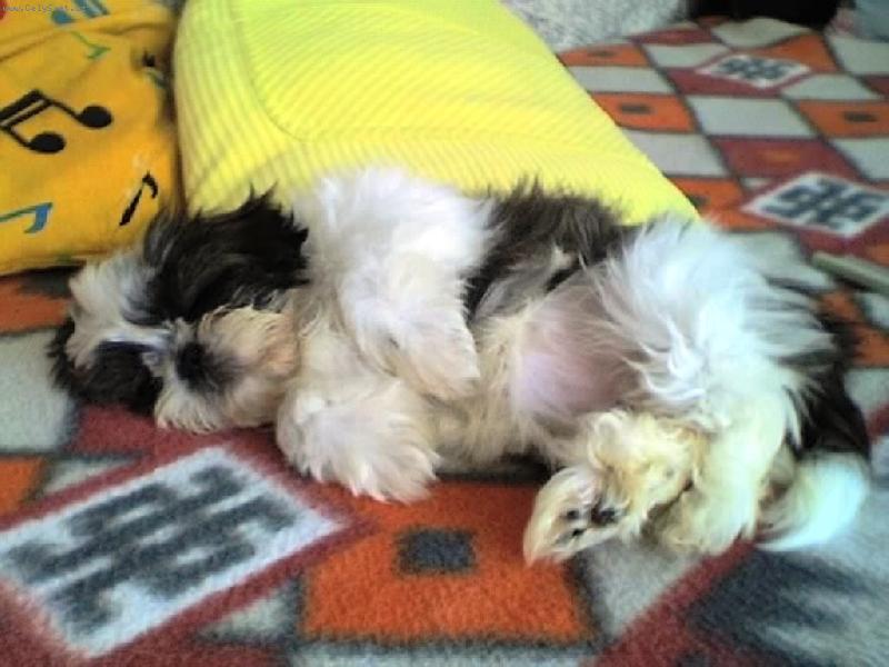 Foto: Ginka
